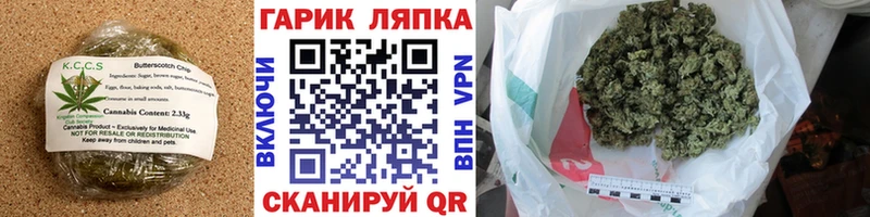 Canna-Cookies конопля OMG Тбилисская