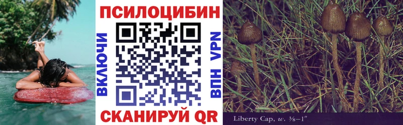 Галлюциногенные грибы мицелий  цены   Тбилисская 
